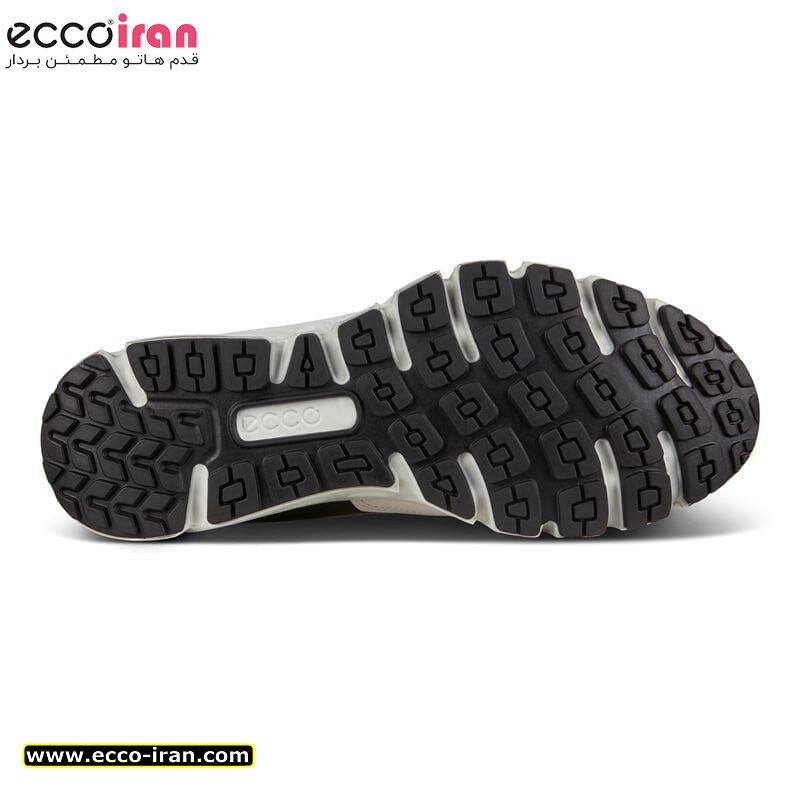 کفش مردانه اکو اصل مدل ECCO MULTI-VENT M MULTICOLOR OMBRE