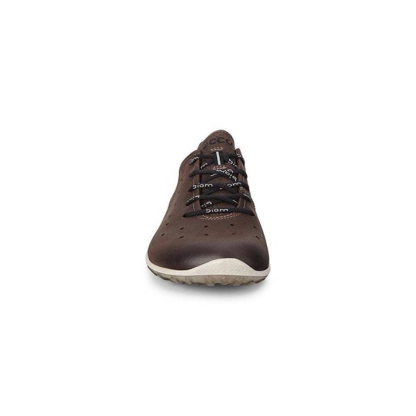 کفش مردانه اکو اصل مدل ECCO BIOM LITE M Brown