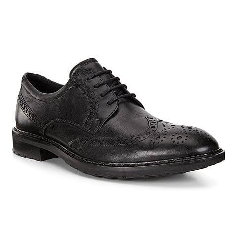 کفش مردانه اکو اصل مدل ECCO VITRUS I Black